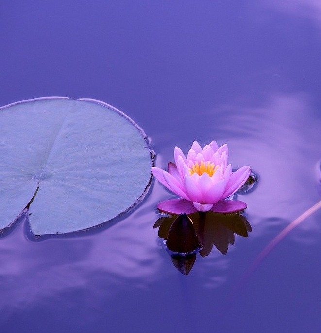 Terapias mente subconsciente